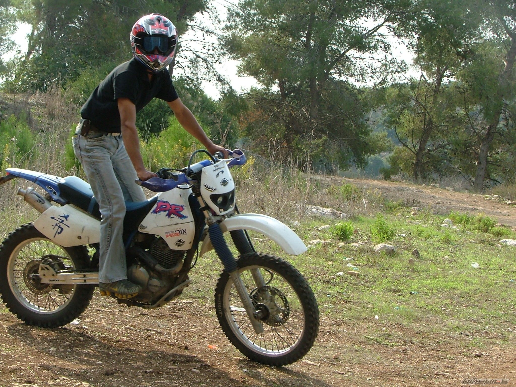 Bike Photo 910978