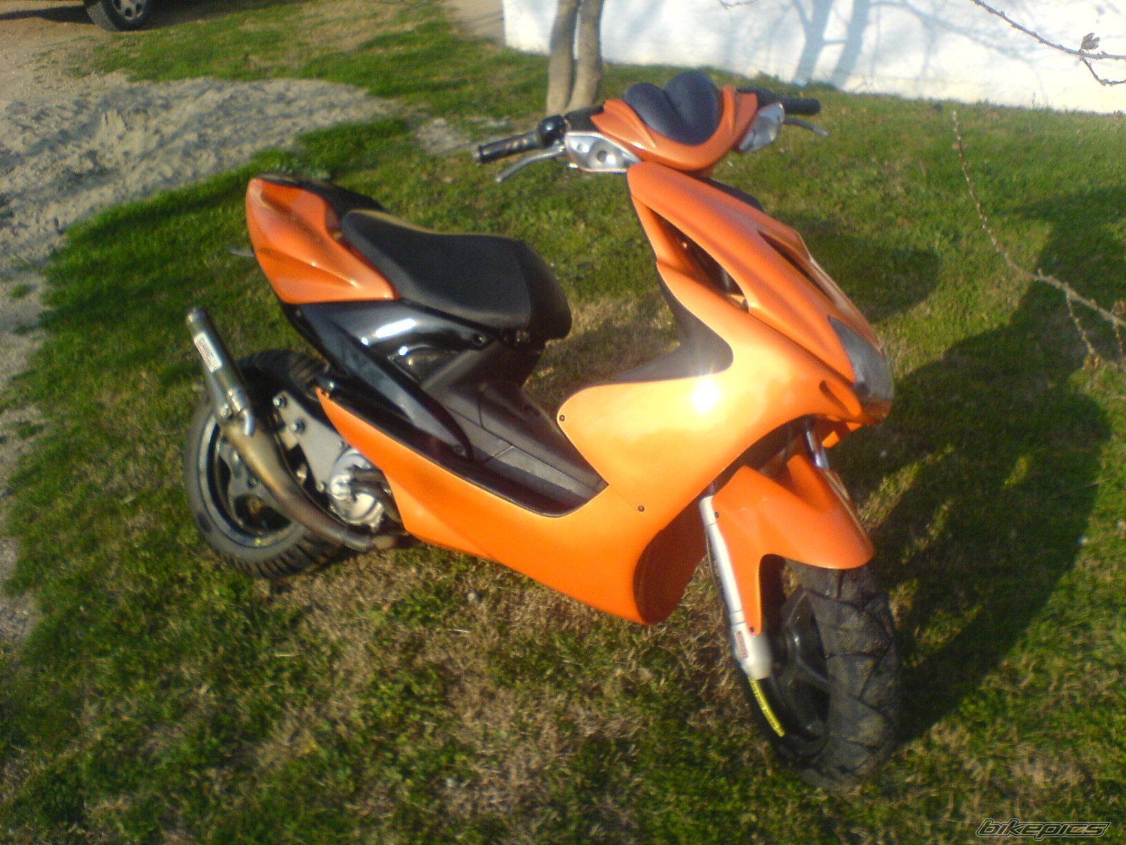 Photo 911058