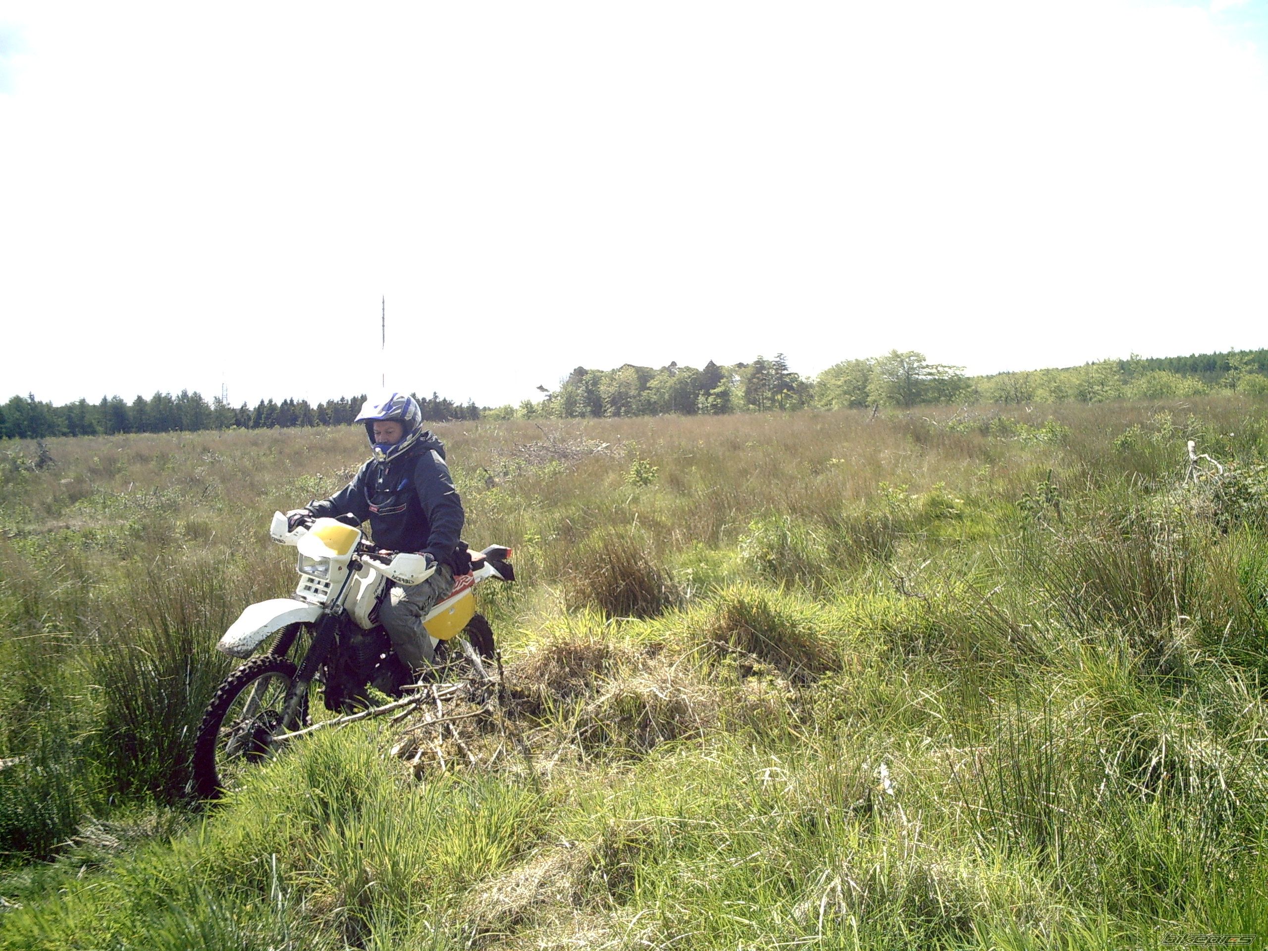 Photo 911126
