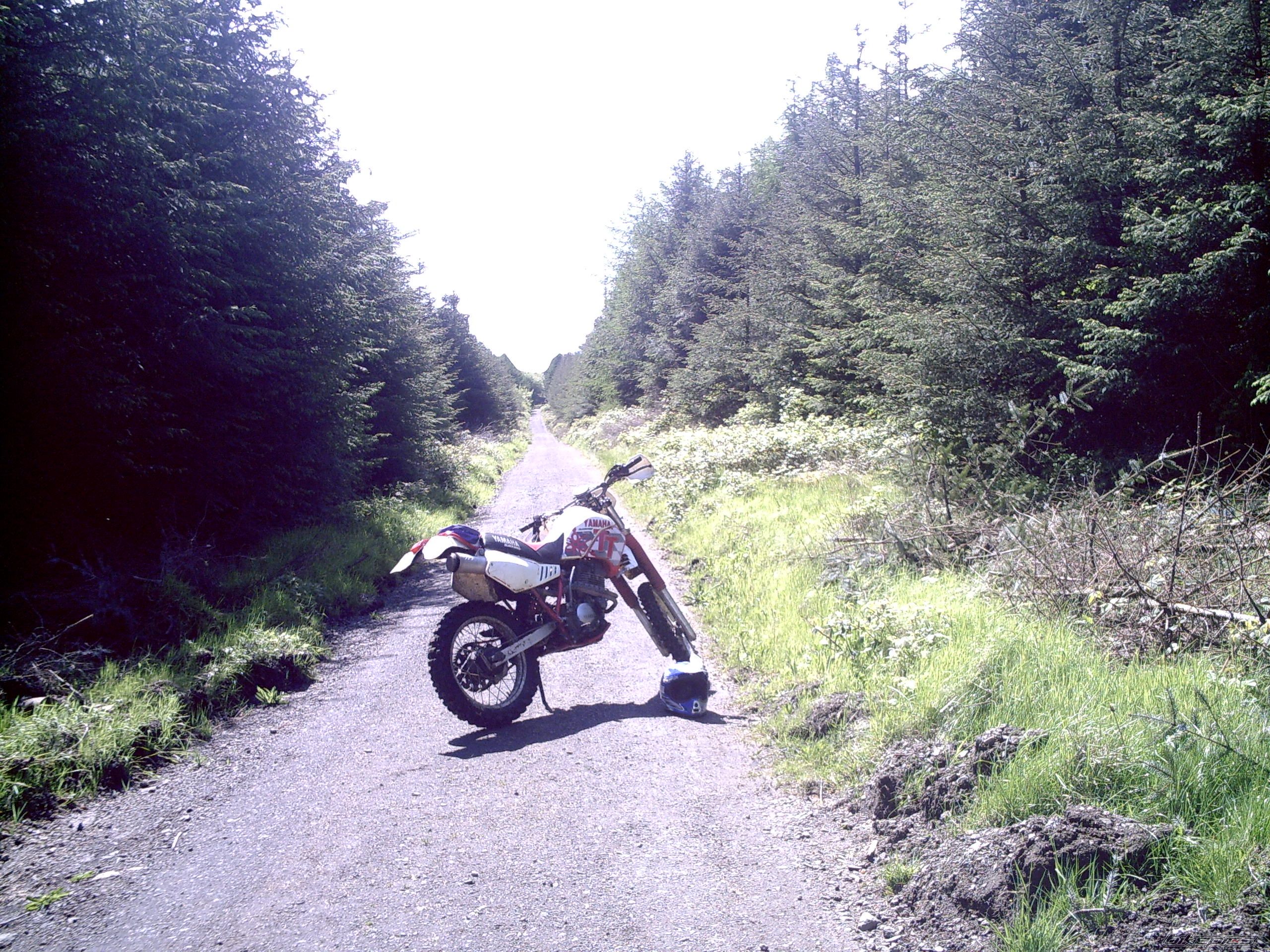 Photo 911129