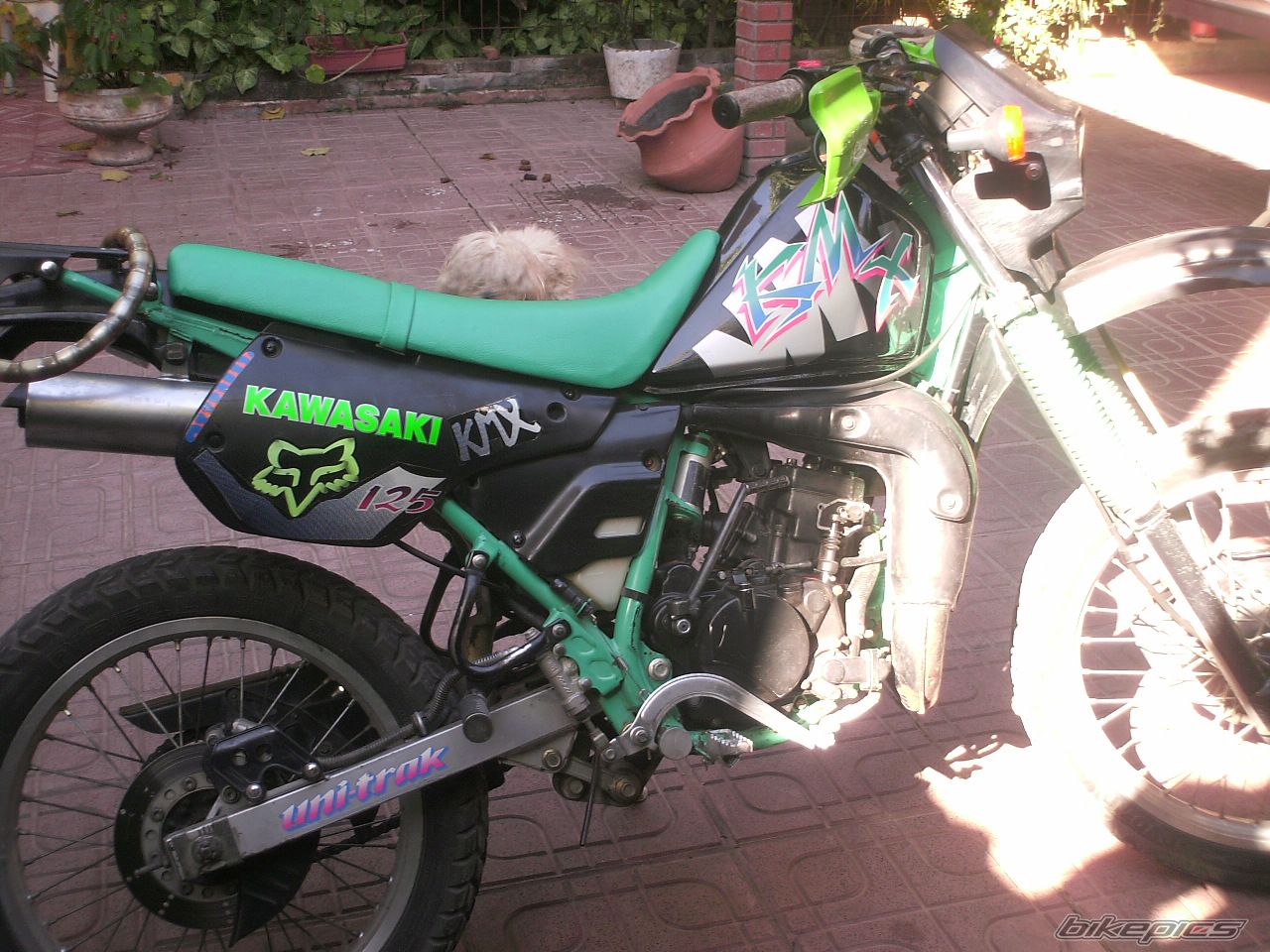 Photo 911543