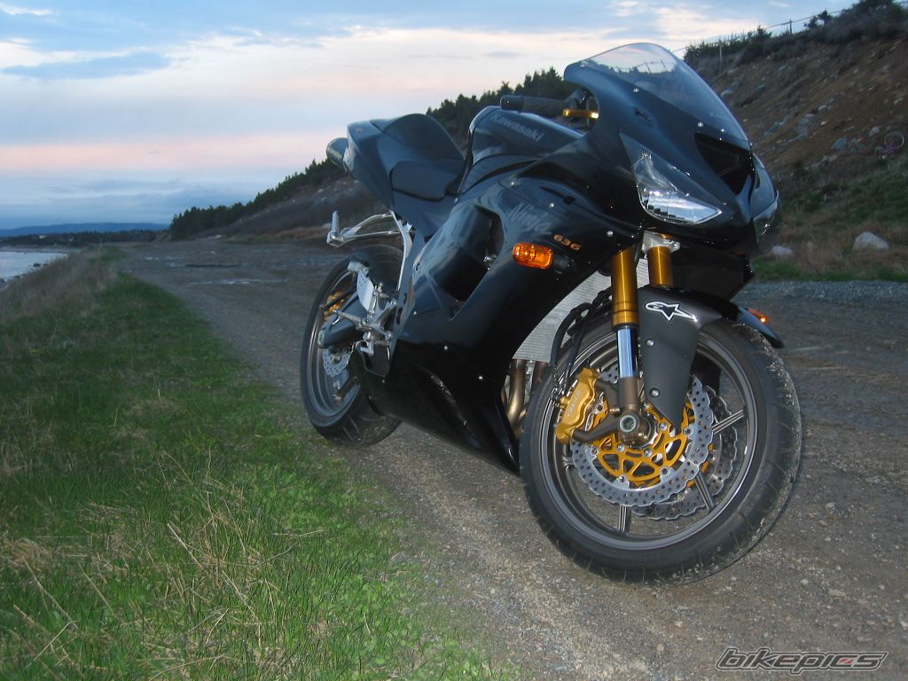Photo 911646