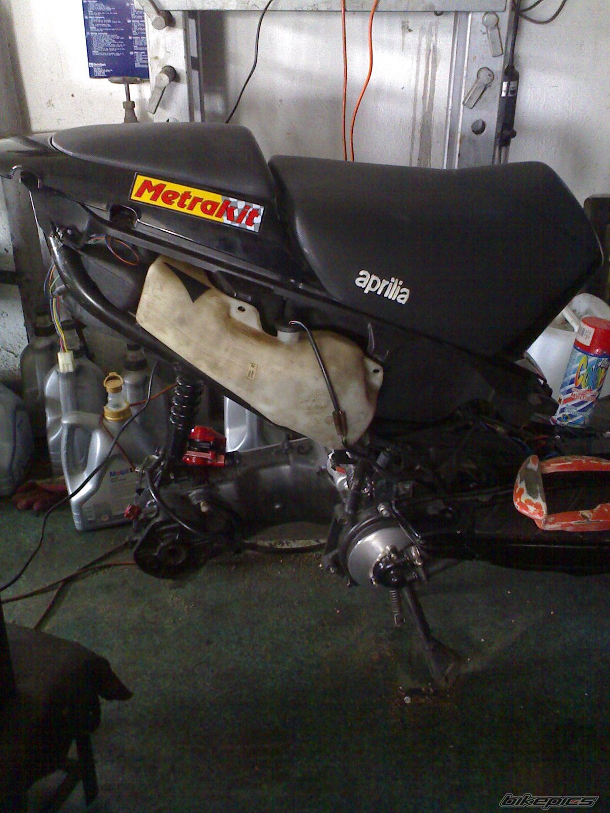 Photo 911982