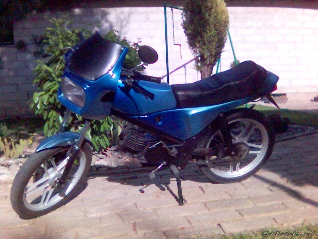 Photo 911986
