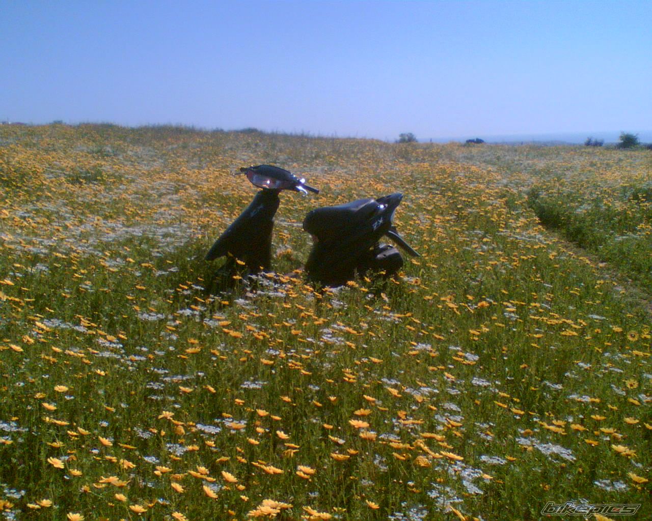 Photo 912153