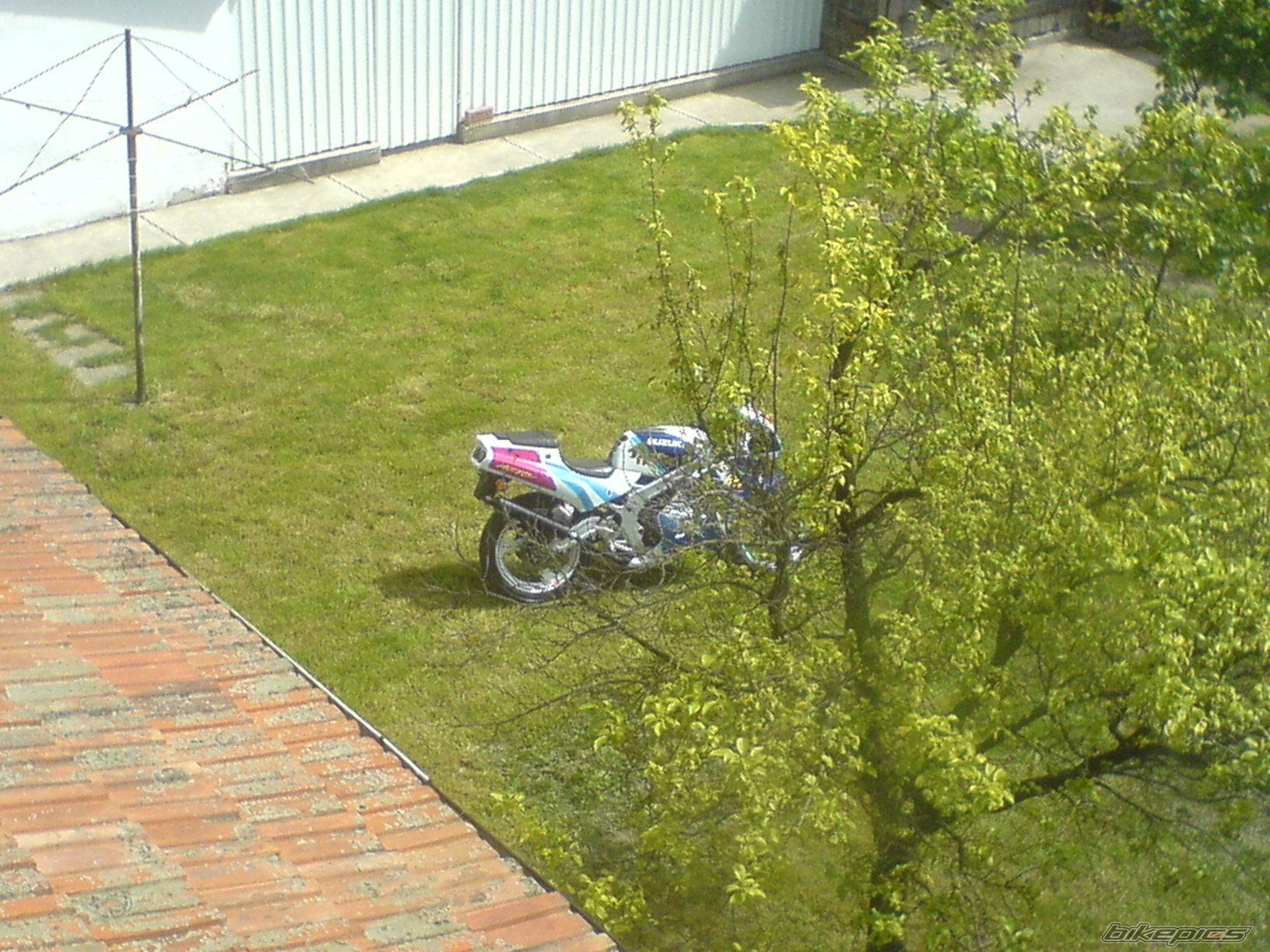 Photo 912297