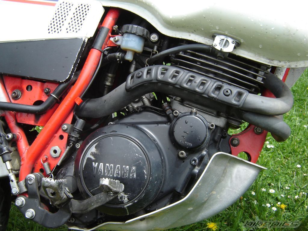 Bike Photo 912464