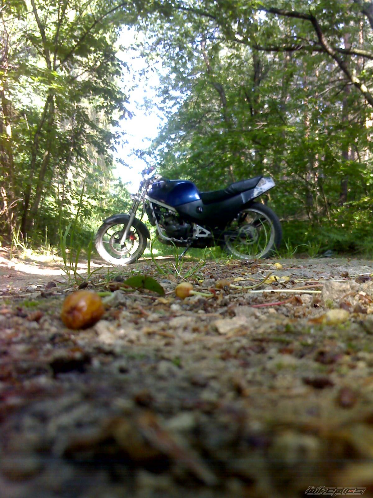 Bike Photo 912572