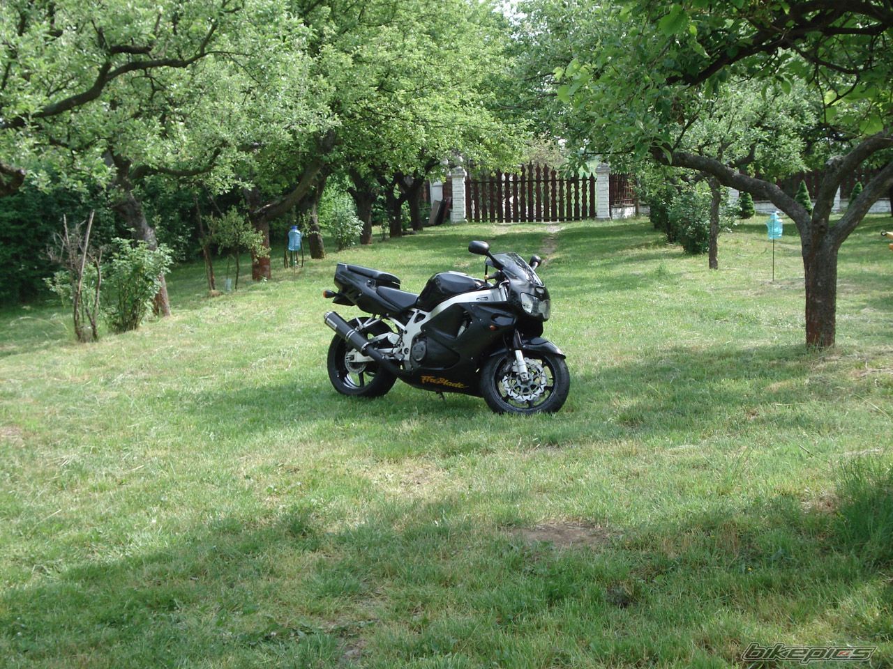 Photo 912584