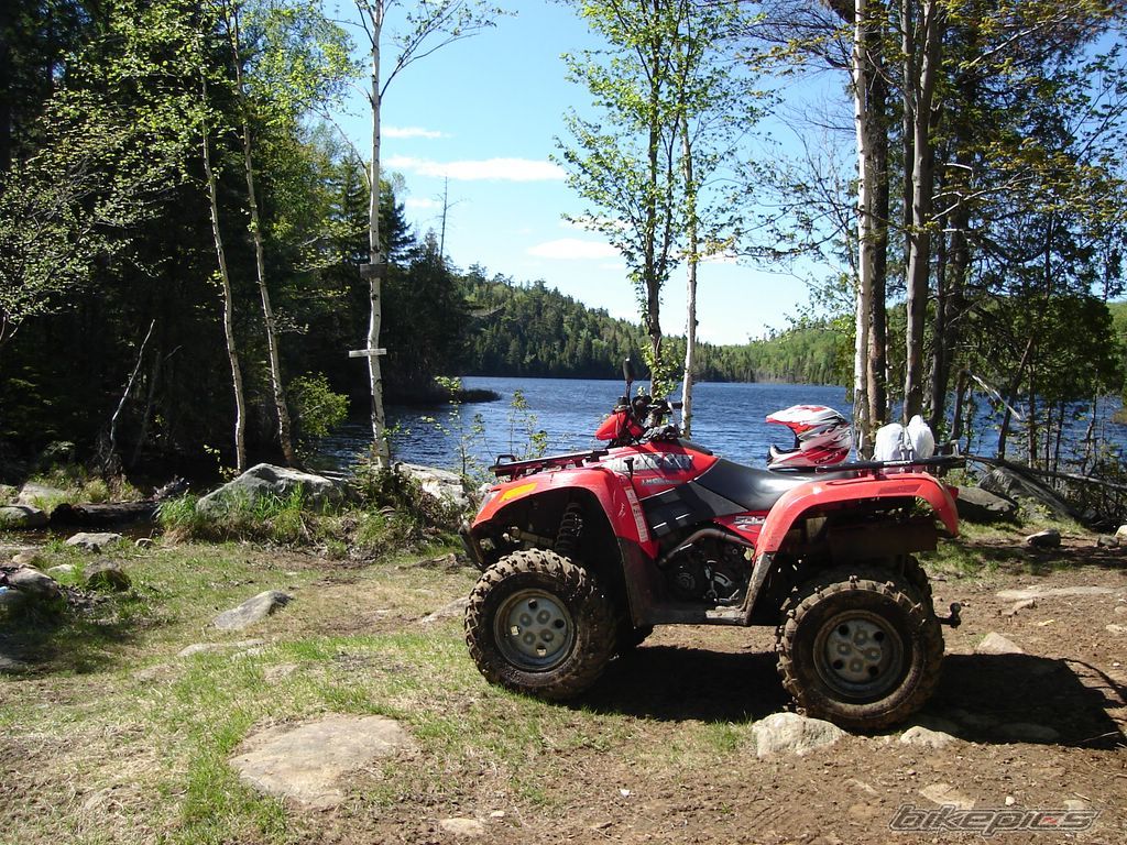 Photo 913028