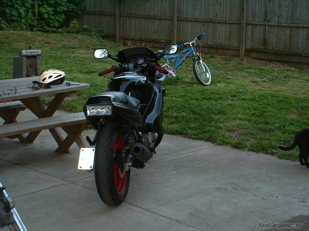 Photo 913815