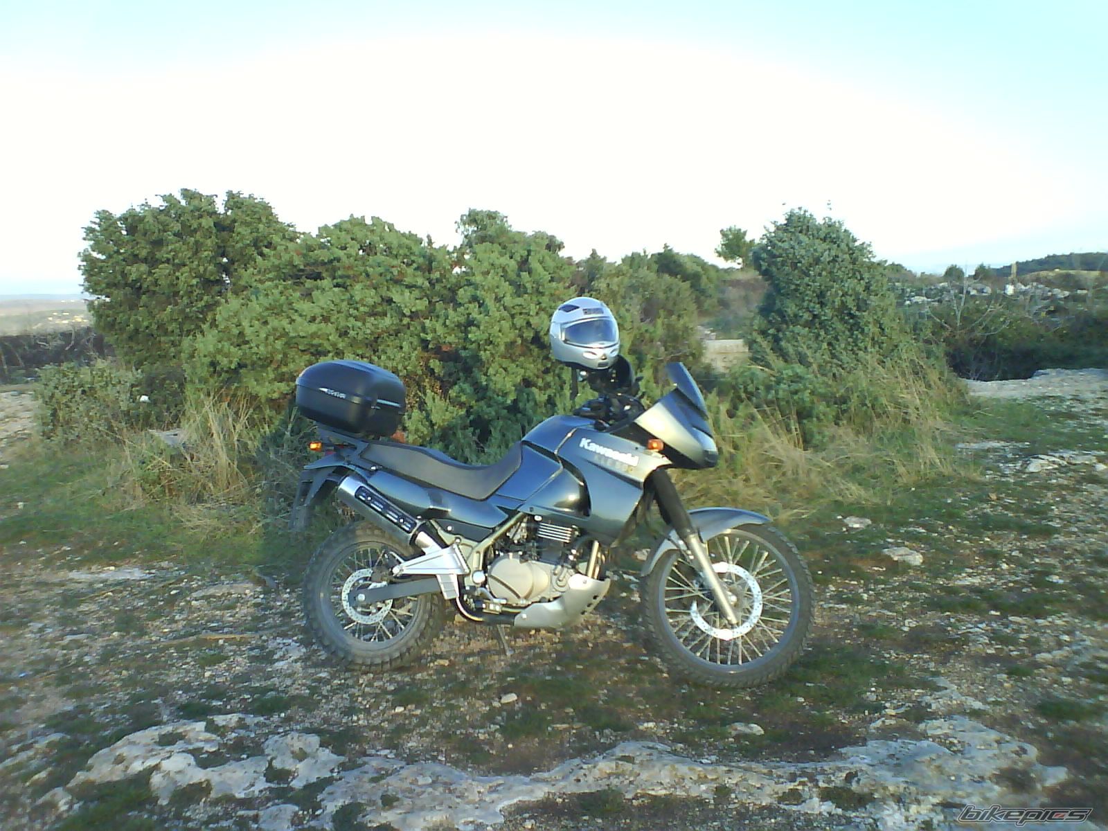 Photo 913829