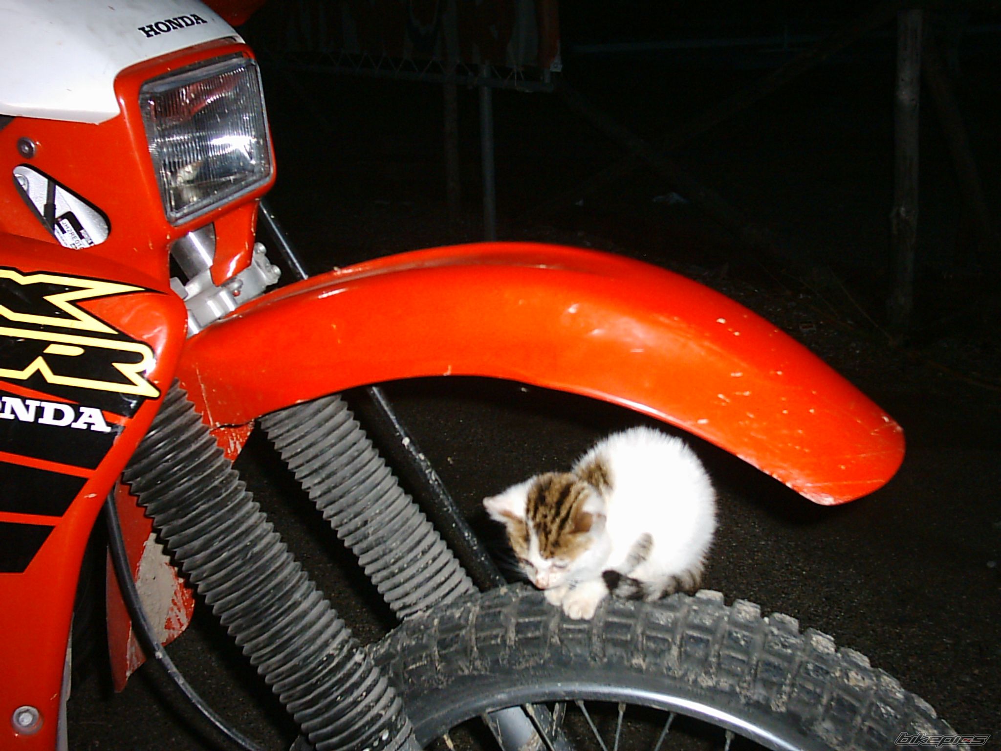 Bike Photo 914055
