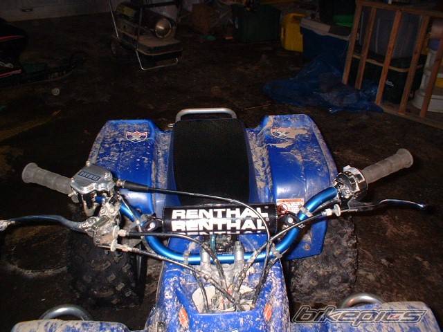 Photo 91427