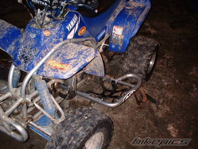 Photo 91429