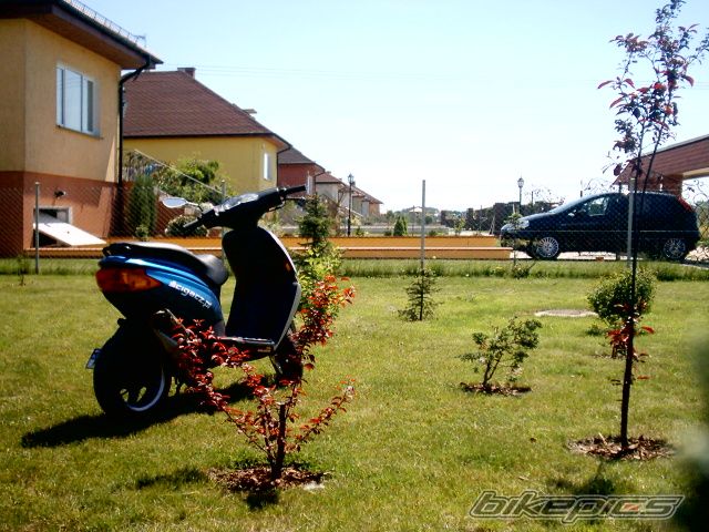 Photo 914656
