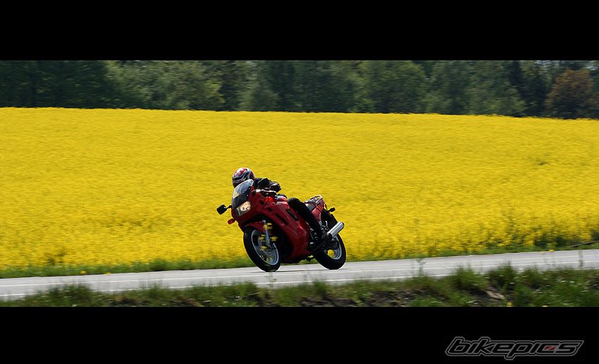 Bike Photo 914659