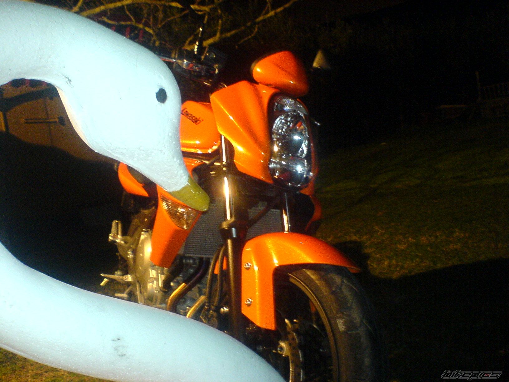 Photo 914921