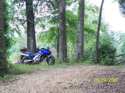 Bike Photo 915025