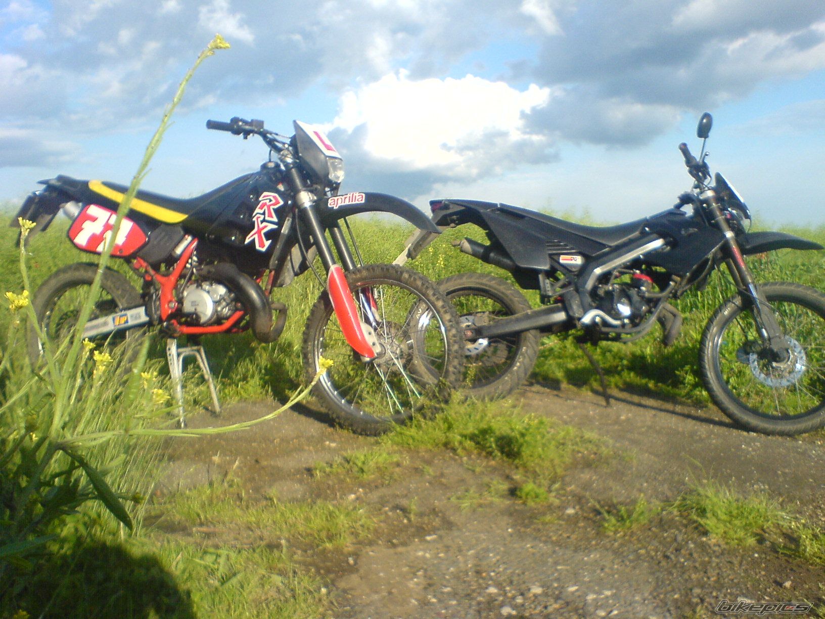 Photo 915039