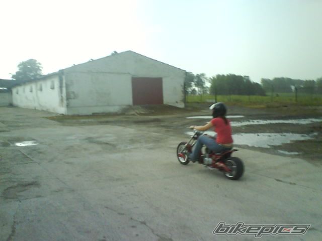 Photo 915067