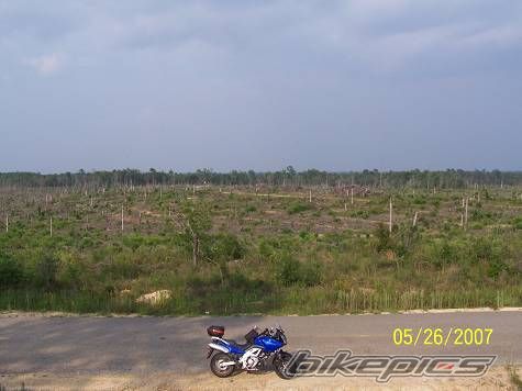 Photo 915072