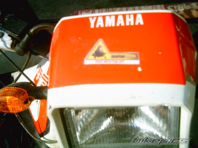 Photo 915091