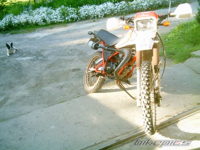 Photo 915096