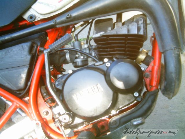Photo 915101
