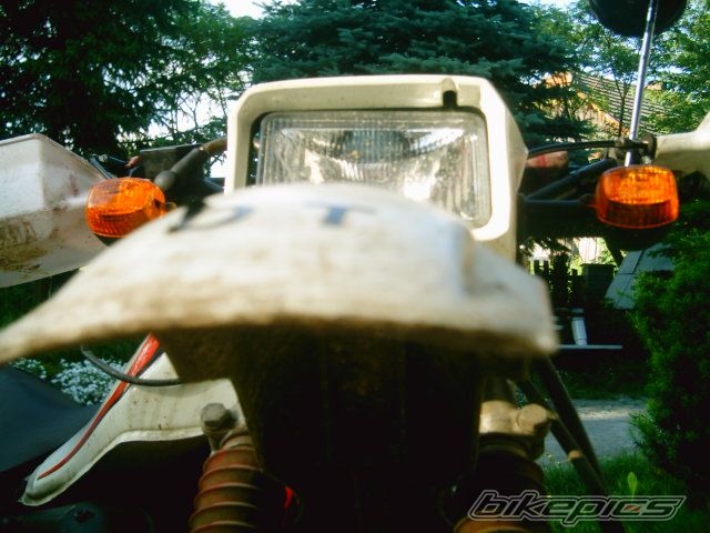 Photo 915109