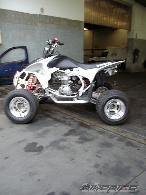 Photo 915225