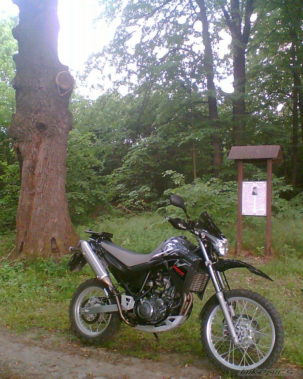 Photo 915407