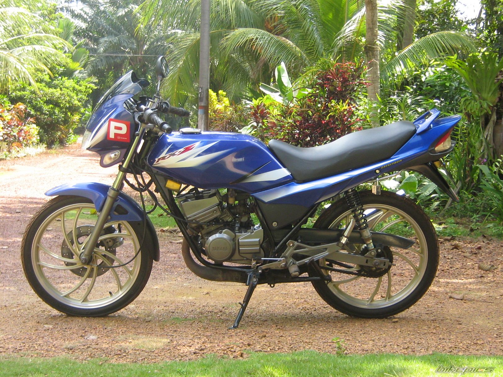 Bike Photo 915421