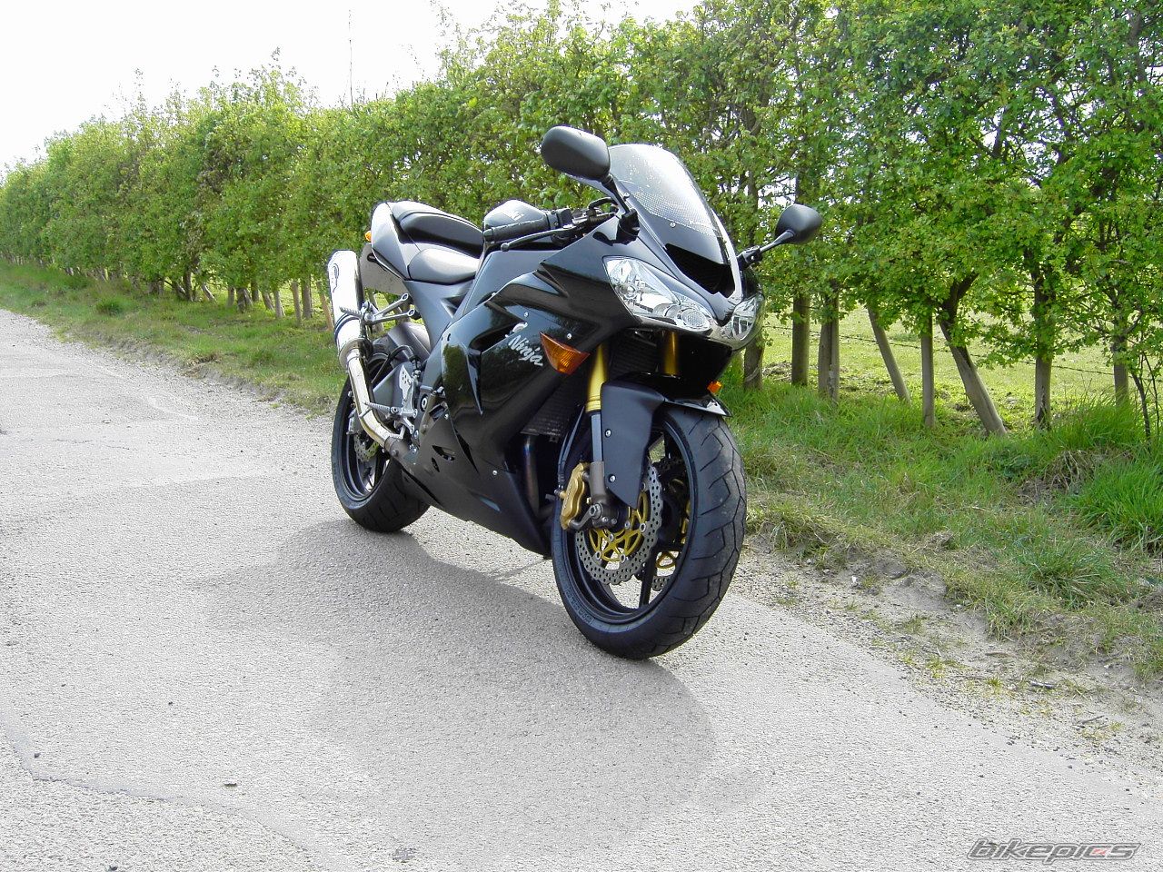 Bike Photo 915462