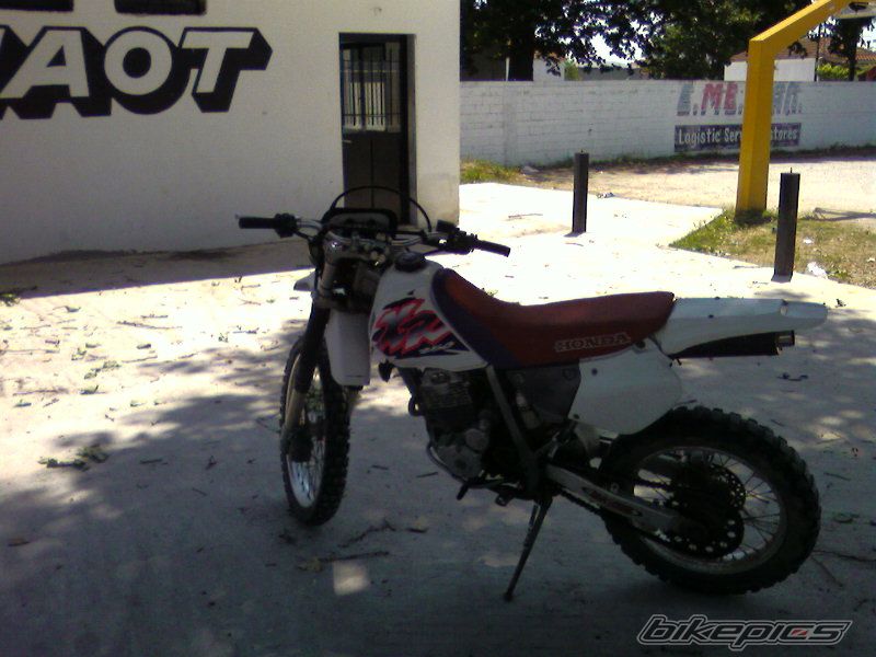 Photo 915529