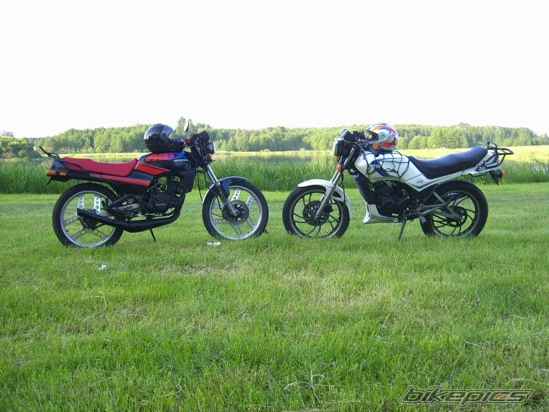 Photo 915537