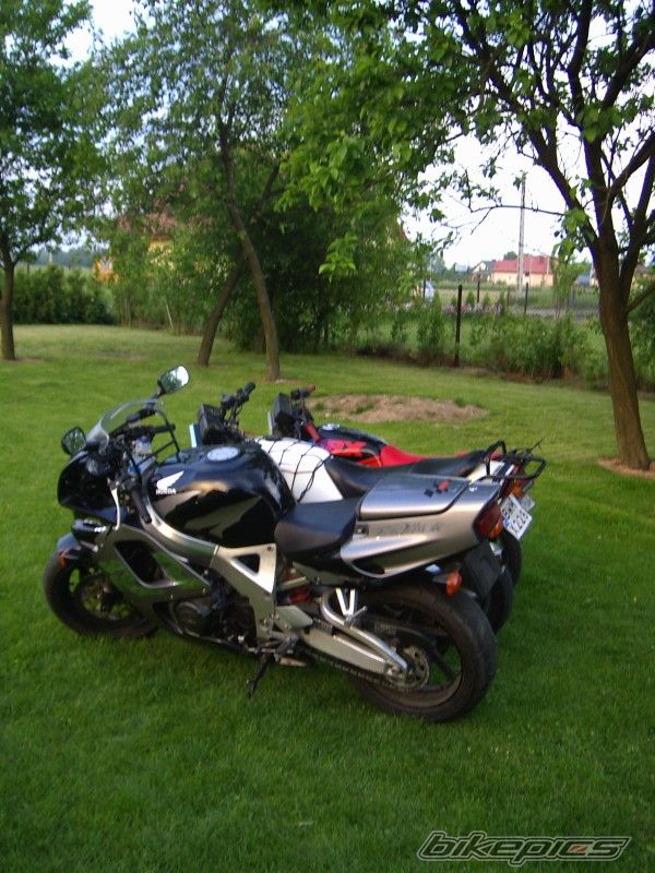 Photo 915540