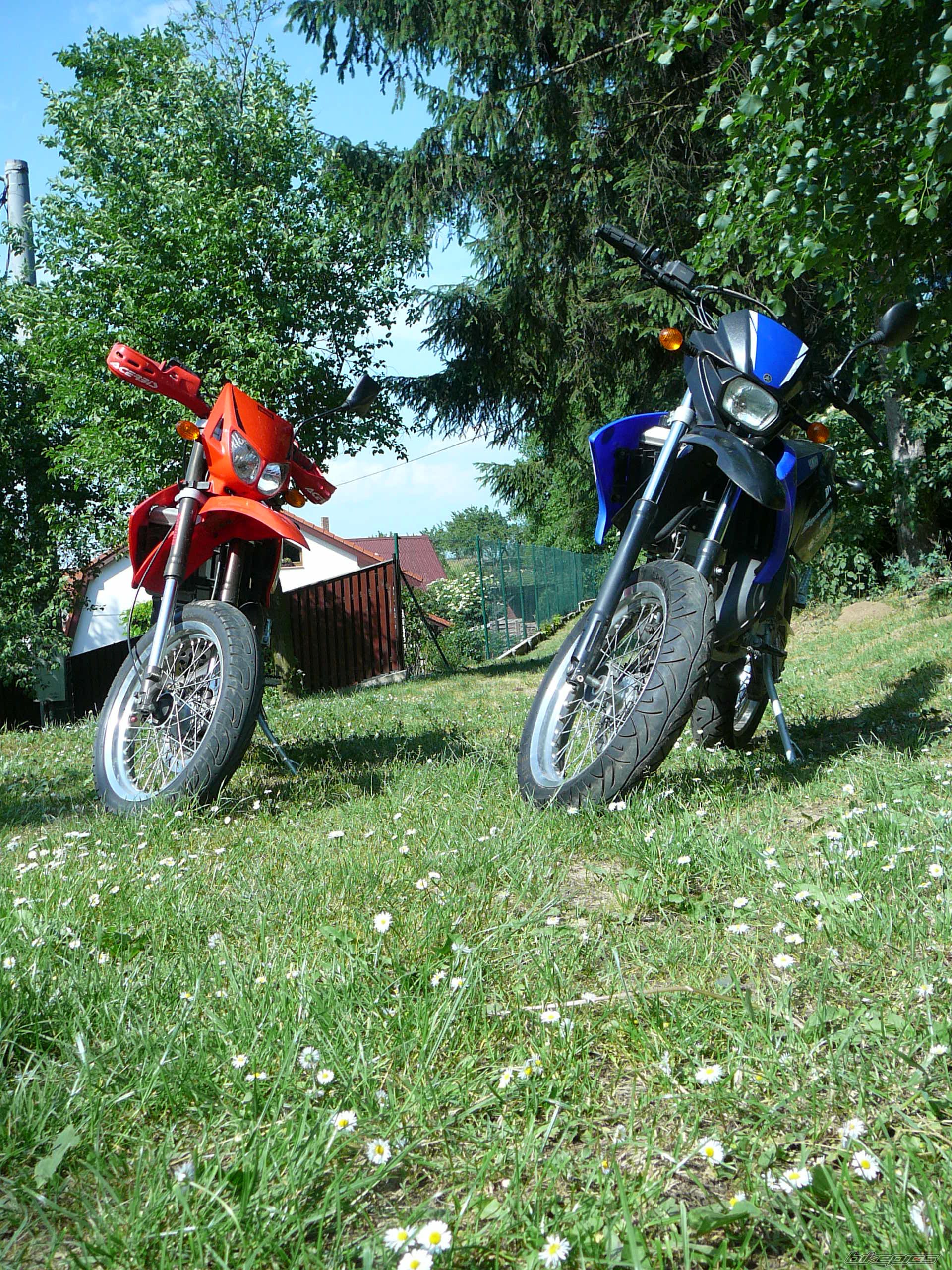 Photo 915679