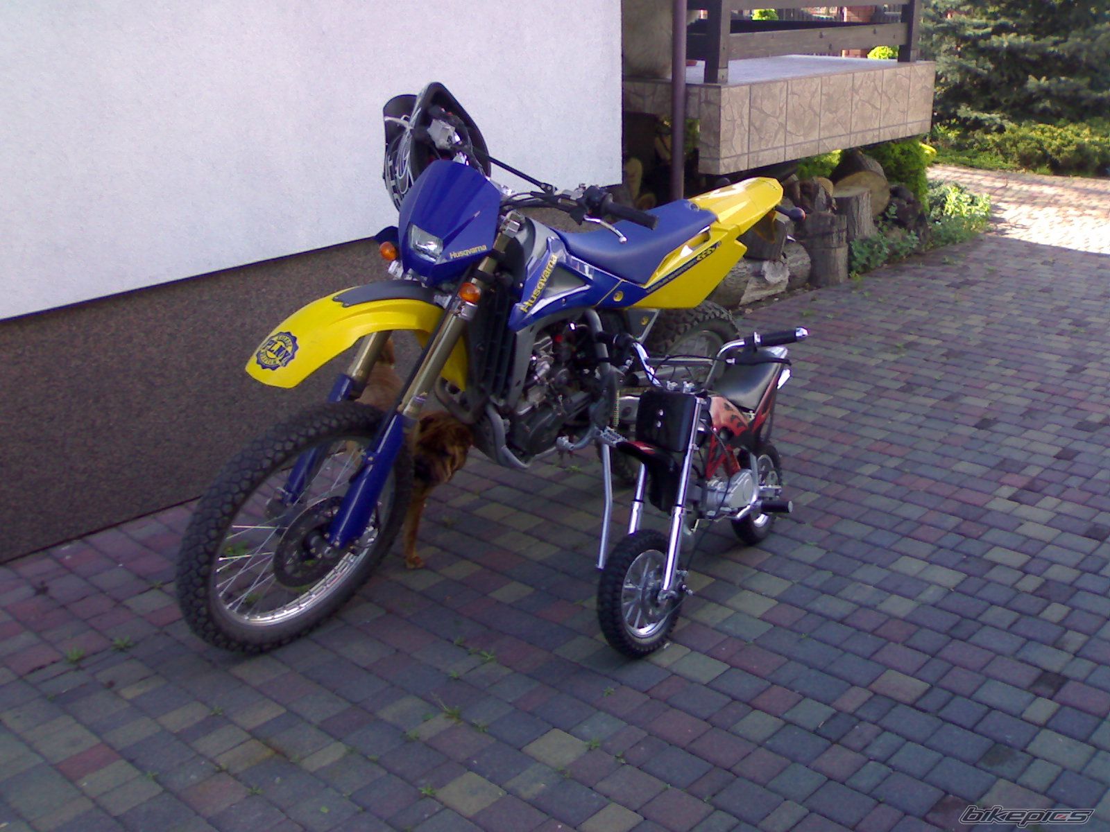 Photo 915699
