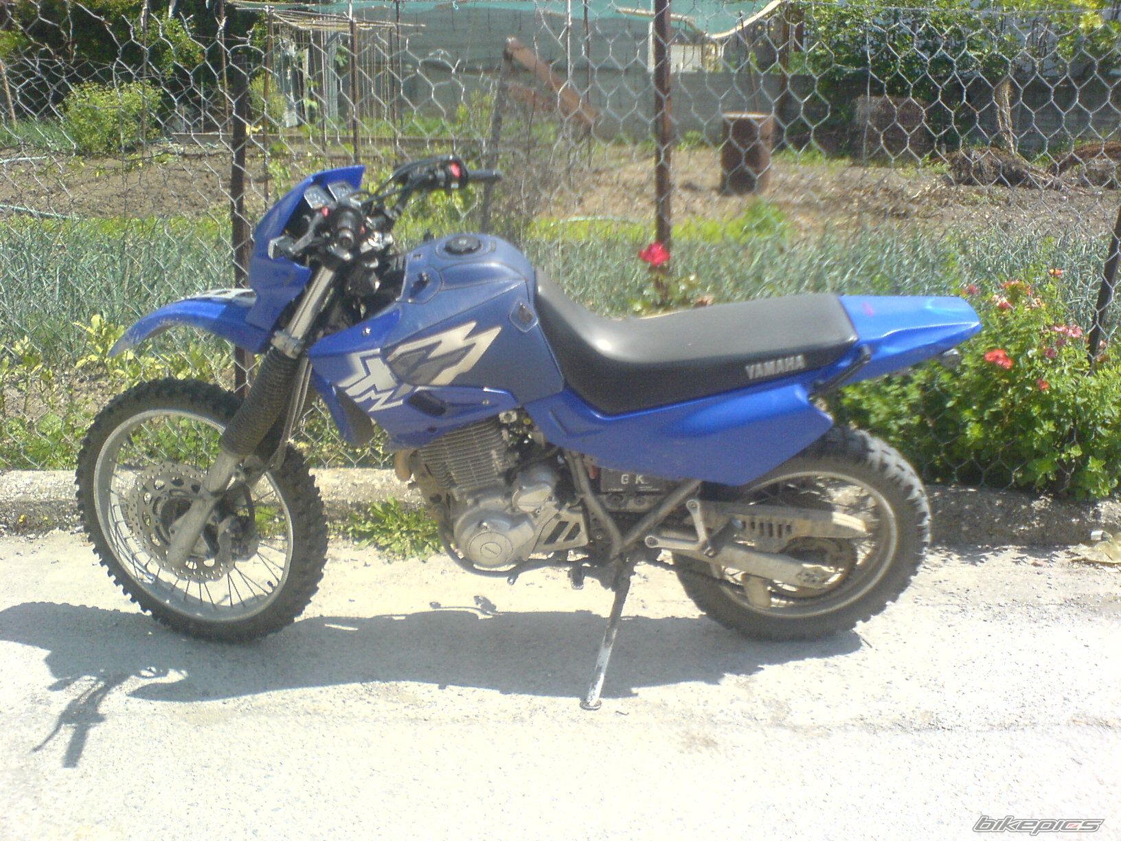 Photo 916268