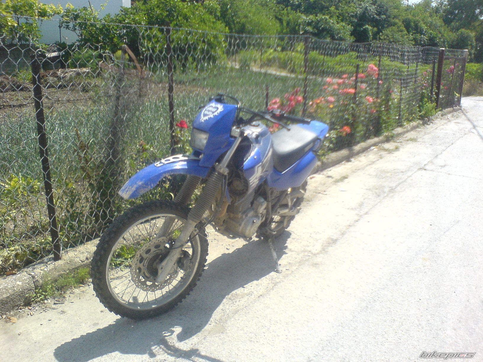 Bike Photo 916269