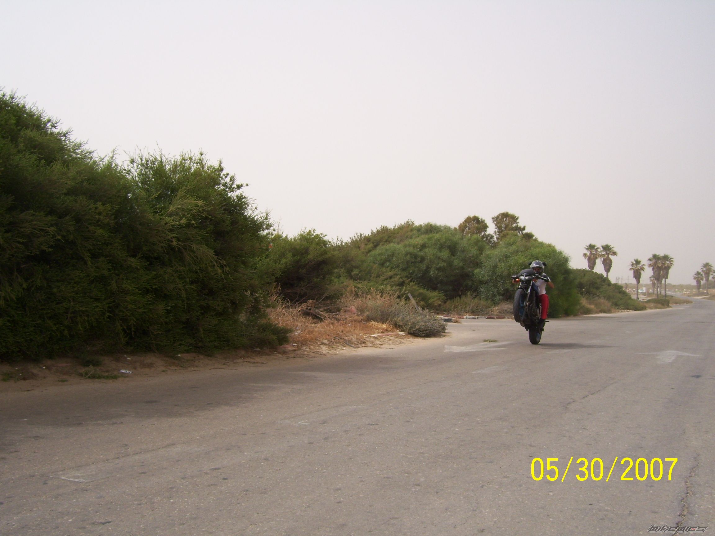 Photo 916306