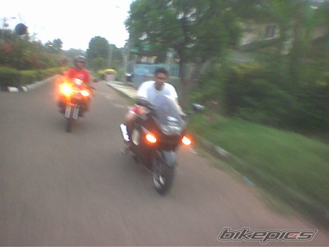 Photo 916313