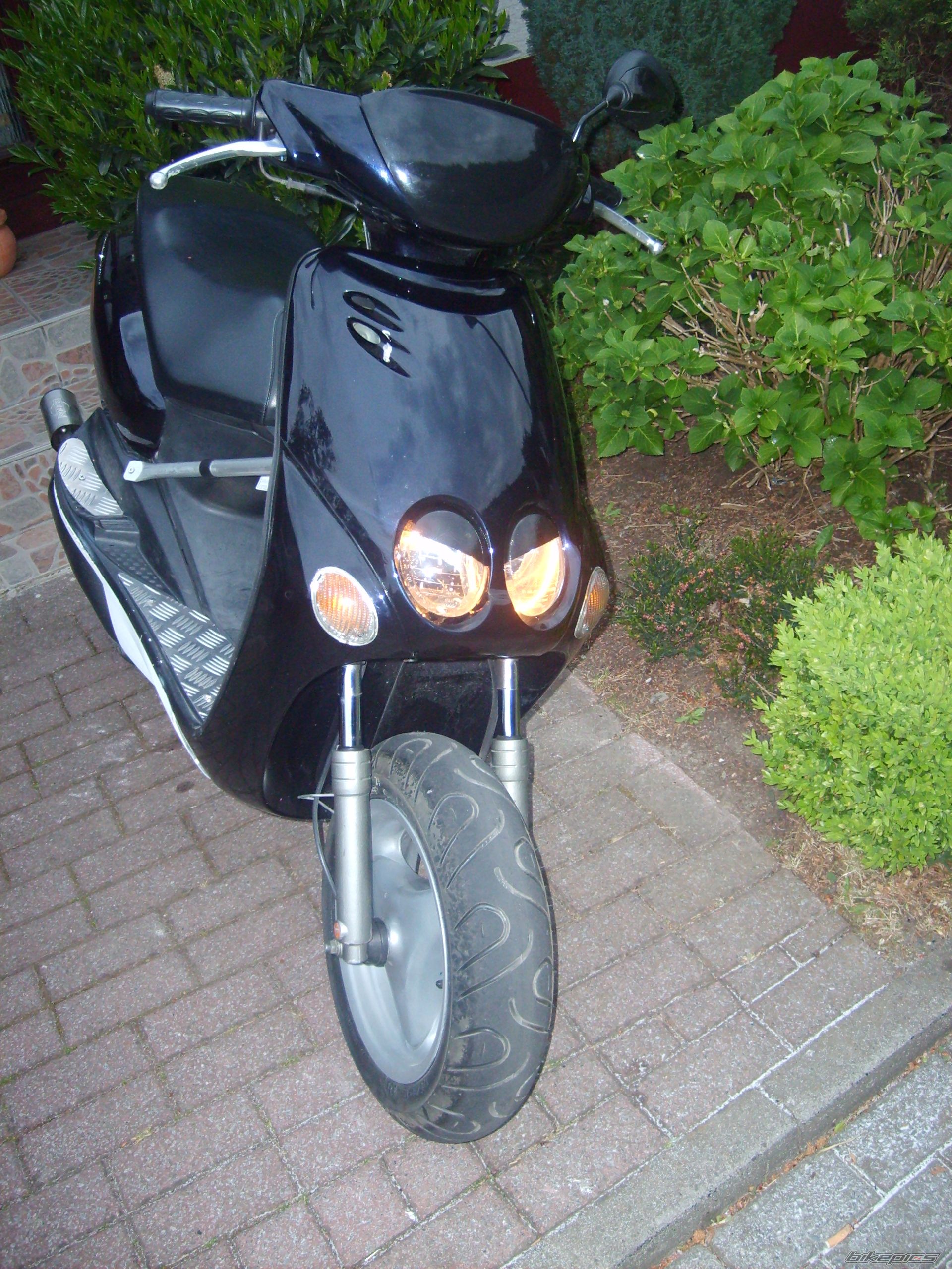 Photo 916462
