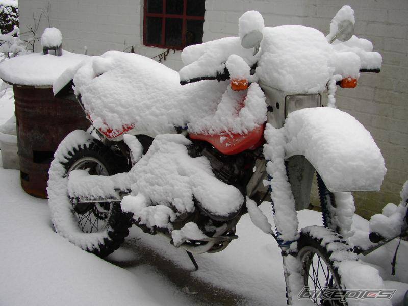 Bike Photo 91654