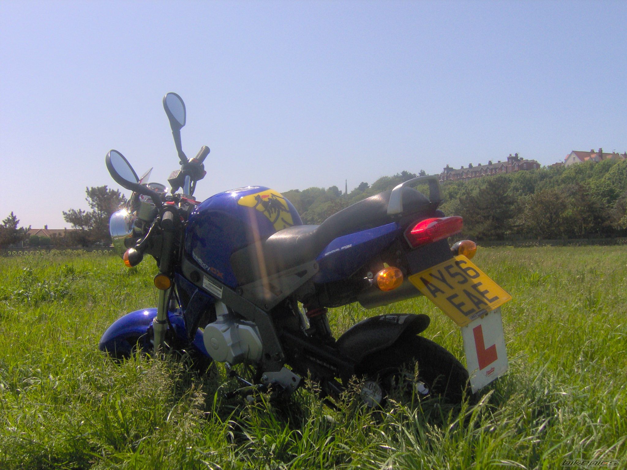Photo 916657