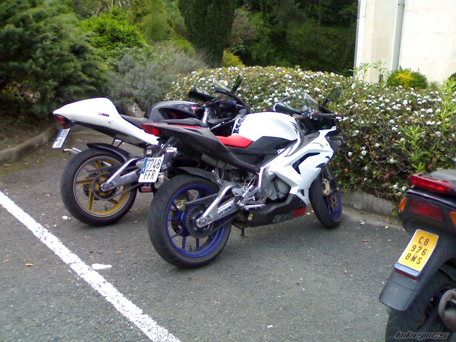 Photo 916668