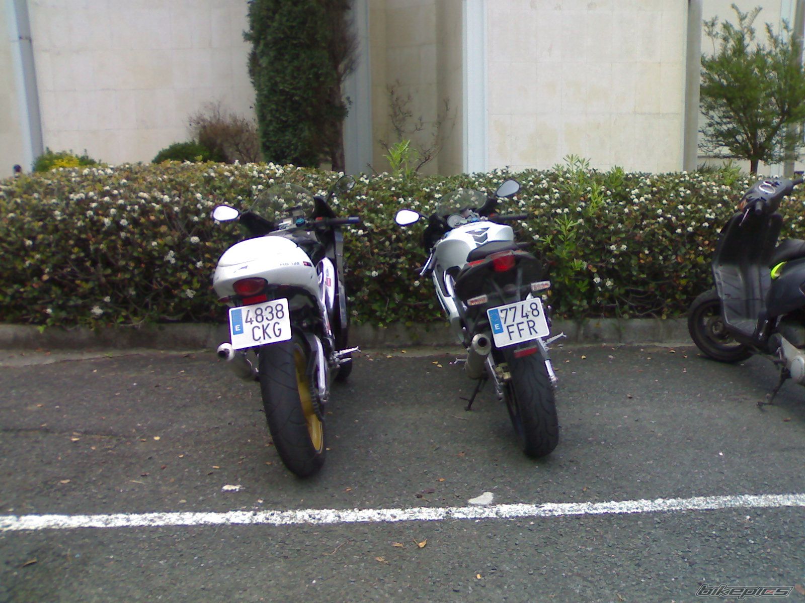 Photo 916670