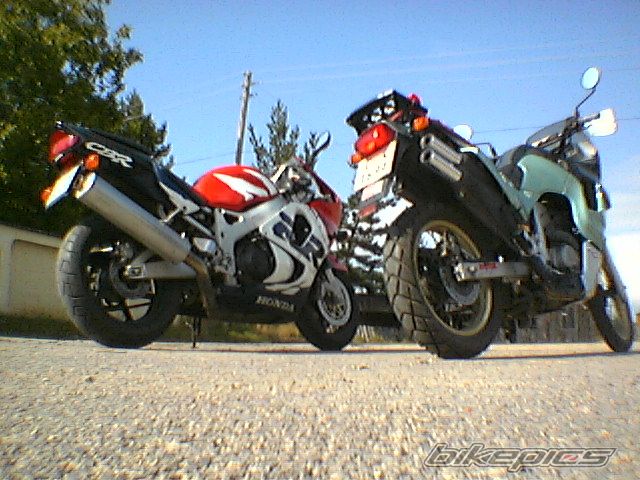 Photo 916721