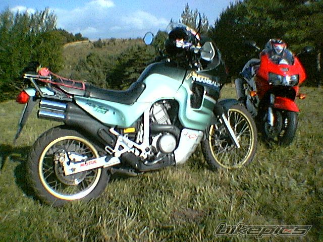 Photo 916732
